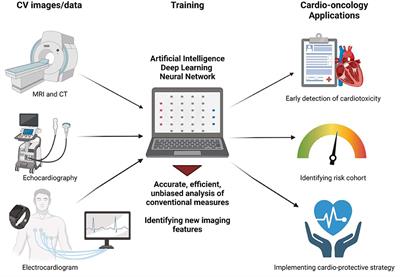 Artificial intelligence applications in cardio-oncology: Leveraging high dimensional cardiovascular data